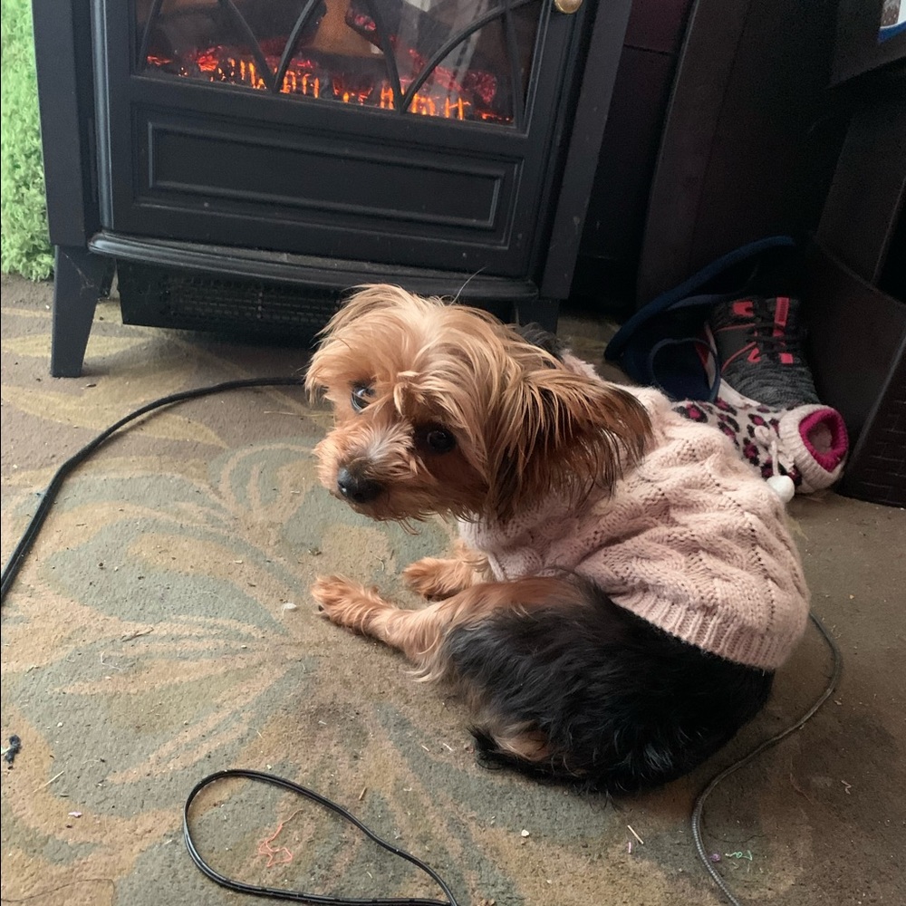 Meet your Posher, Sara